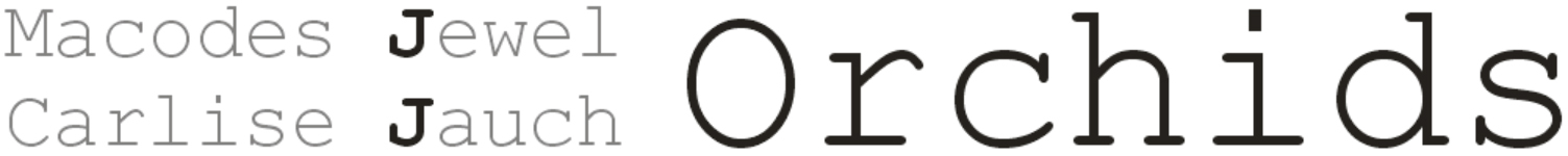 Zur Startseite gehen